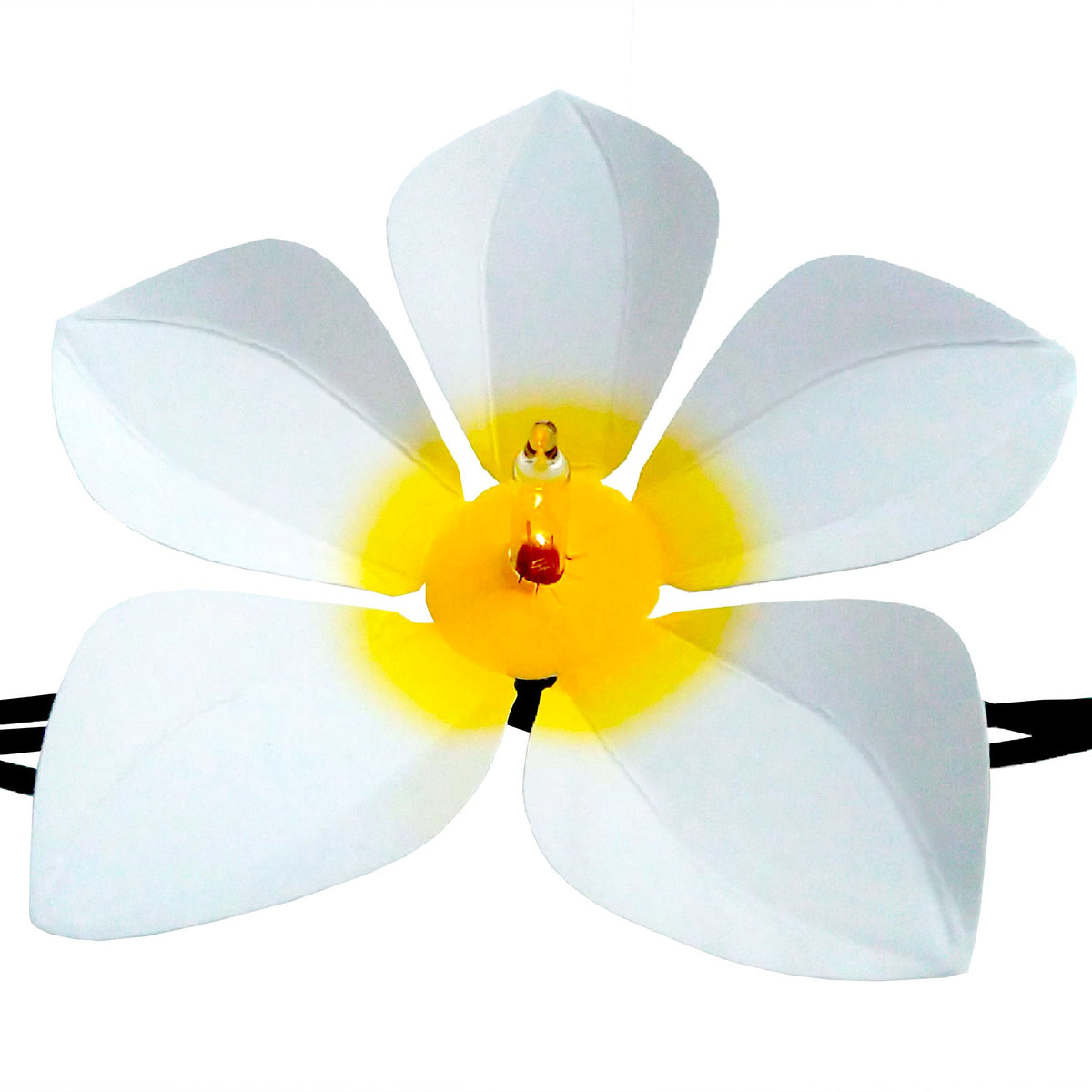lily white website Lily White –– 15 flowers per package